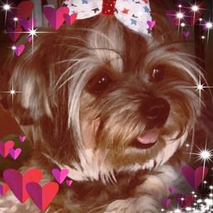 Meet your Posher, Erika